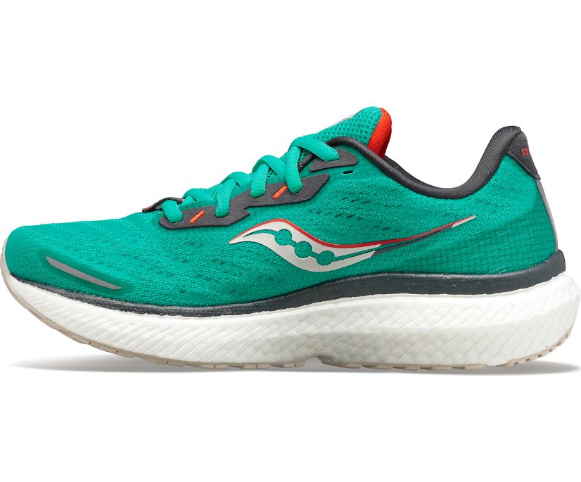 Saucony Triumph 19 Women's Running Shoes Mint | AU 210WNBY